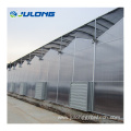 Solid polycarbonate sheet steel structure tomato greenhouse